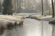 Verwunschene Landschaft: Der Queen-Auguste-Victoria-Park im Winter