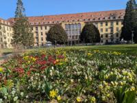Zuversicht: Blick in den Klinikpark des Universitätsklinikums Freiburg