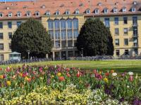 Park am Klinikum der Universität Freiburg