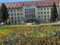 Mediznischer Universitätsklinik Freiburg: Blick in den Park vor dem Klinikum