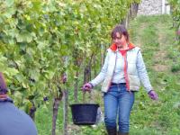 Badische Weinprinzessin Corinna vom Weingut Hubert Lay, Ihringen.