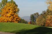 Landschaftsbild des Parkschöpfers: Schöne Bäume säumen den Blick aus dem Queen-Auguste-Victoria-Park zum Kaiserstuhl