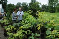 Während der Drehpausen lässt sich Christine Kaufmann die  jungen "Baum-Kinder" von Werner Semmler zeigen