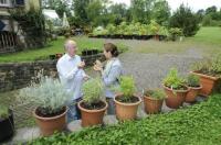 Kräuter-Proben zwischen den Film-Proben: Schauspielerin Christine Kaufmann lässt sich von Verleger Werner Semmler insprieren.