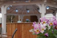 Rendezvous der Welt mit „König Aspargus“: Die Bohrer-Bar