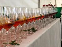 Traum-Hochzeiten: Rocco und Nicole Leone bitten zum Fest der Liebe in den fürstlichen Gutshof von Umkirch.